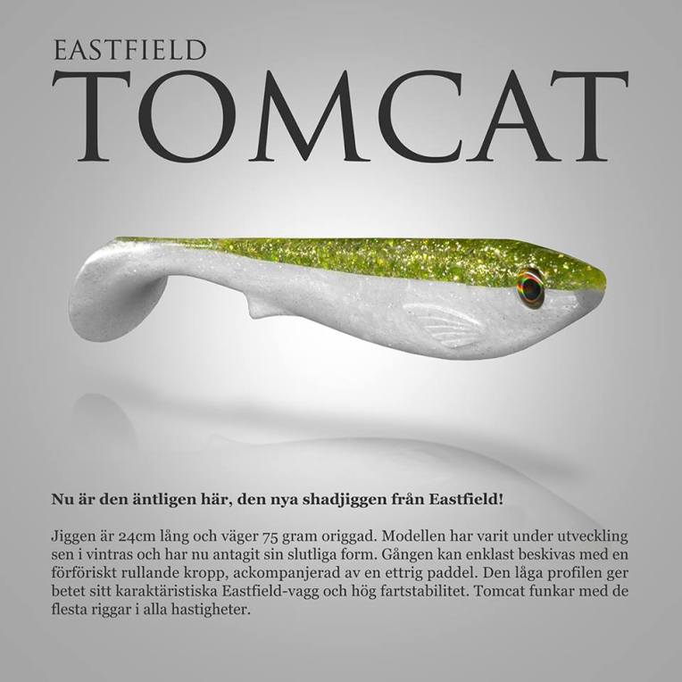Eastfield TomCat