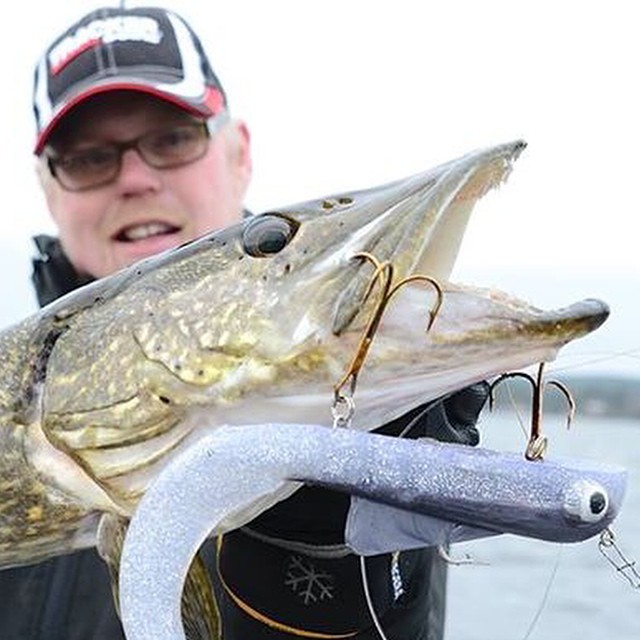 541546_10152459400739327_4195103634809058392_n