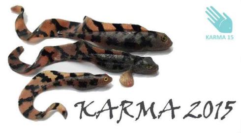 Björn Nettelbaits Nettelbladt