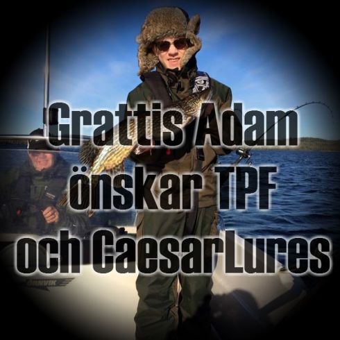 AdamVinst