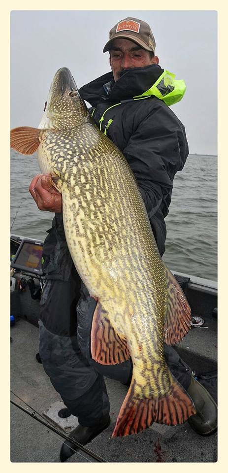 12899799_658345987637998_656264273_n