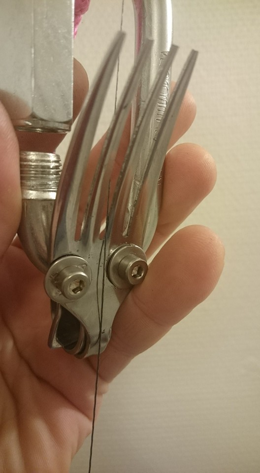 13062093_249731118711383_7352119438513595359_n