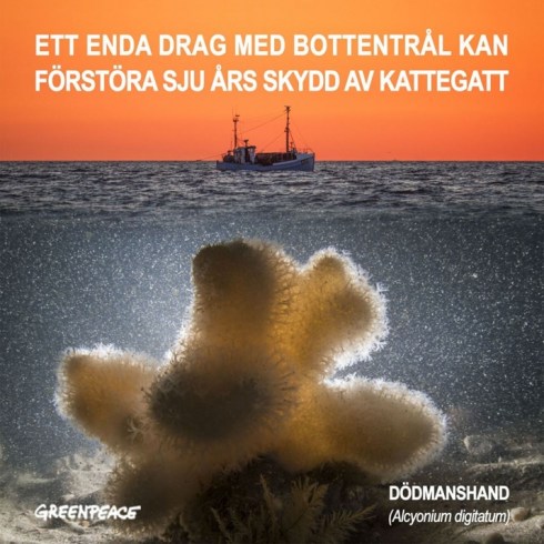 kattegat-front_se.jpg2